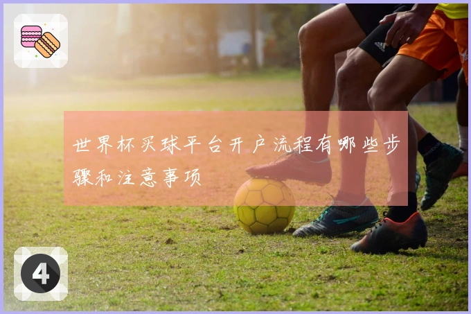 世界杯买球平台开户流程有哪些步骤和注意事项