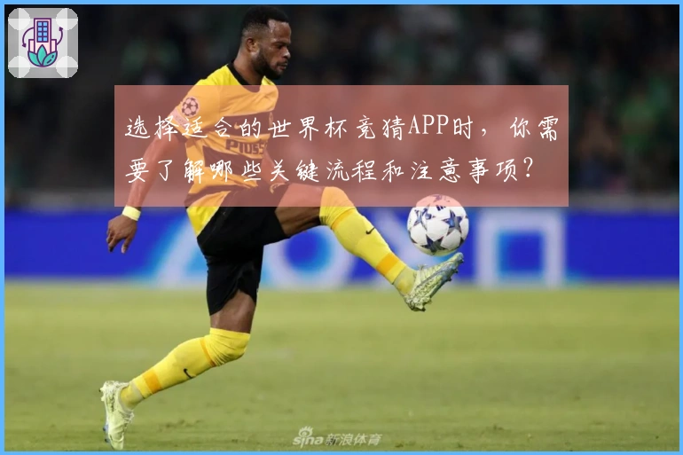 选择适合的世界杯竞猜APP时，你需要了解哪些关键流程和注意事项？