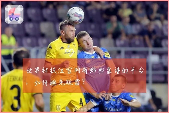 世界杯投注官网有哪些靠谱的平台，如何避免踩雷？