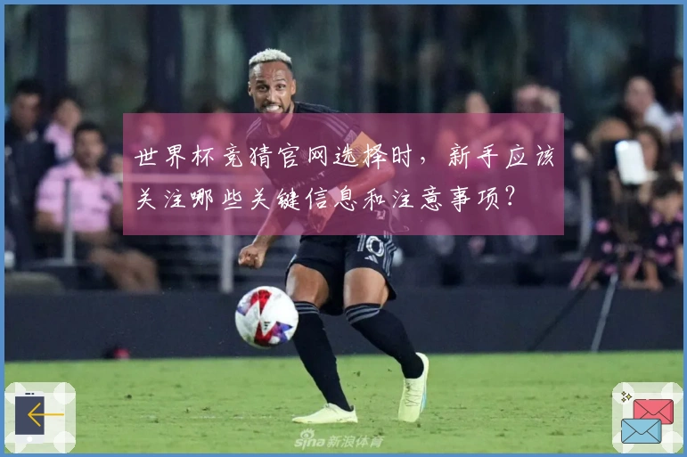 世界杯竞猜官网选择时，新手应该关注哪些关键信息和注意事项？